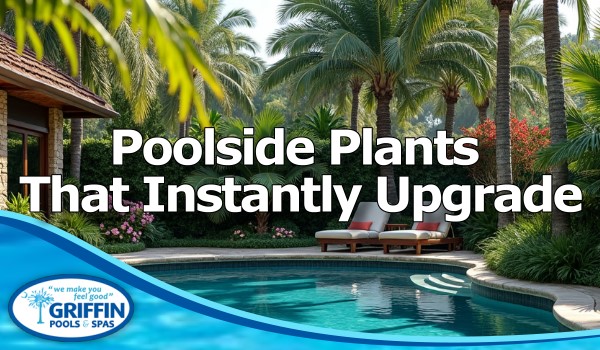 Poolside Plants That Elevate Your Outdoor Living Space
